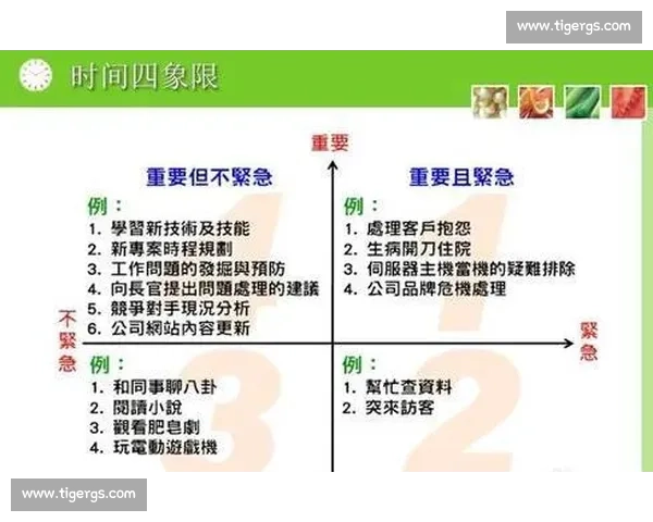 打造高效协作模式，充分发挥团队核心优势提升整体竞争力