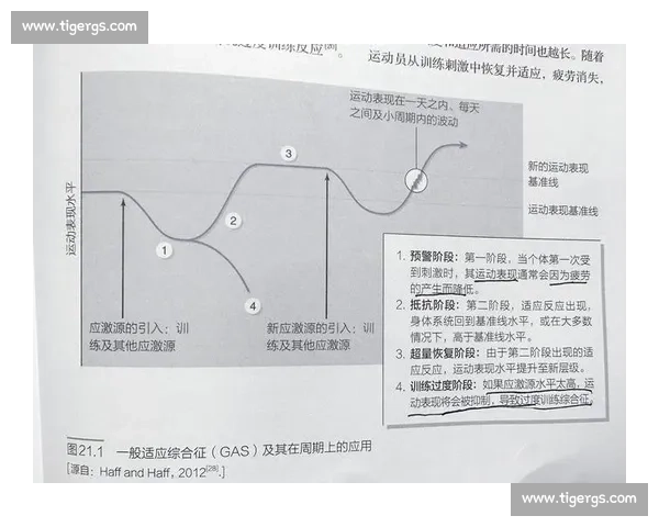 提升运动表现的科学方法与训练策略全面解析