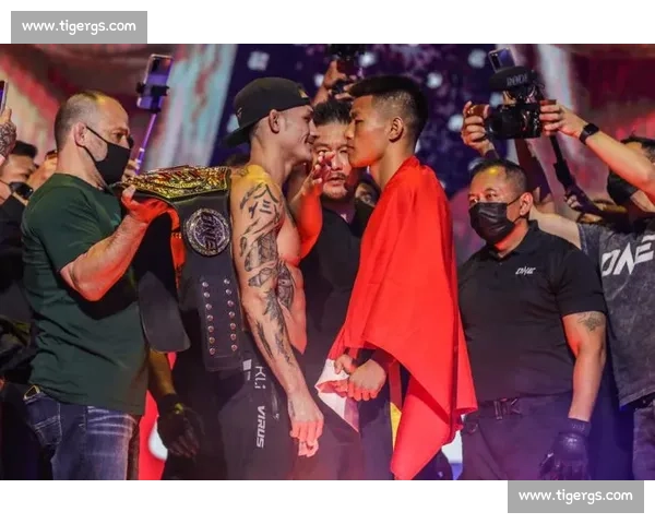震撼瞬间！综合格斗KO精彩画面全记录与解析